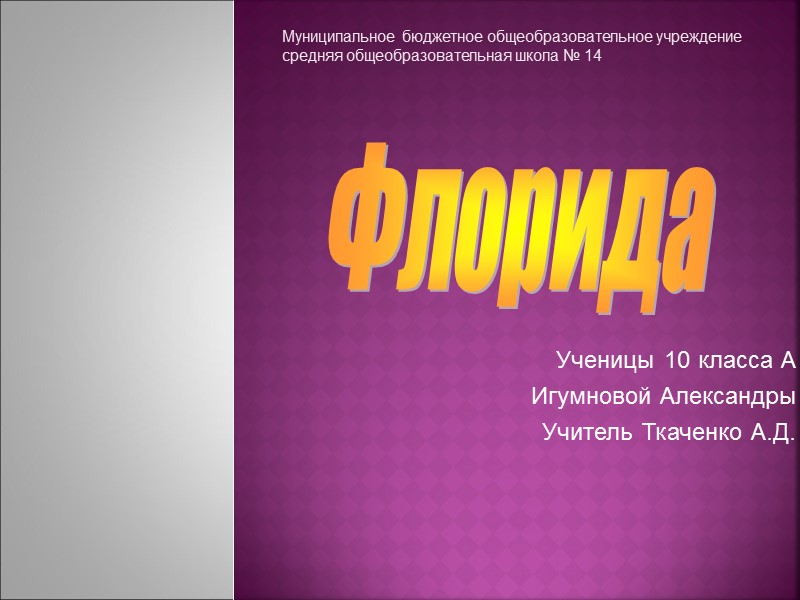 Ученицы 10 класса А Игумновой Александры Учитель Ткаченко А.Д. Муниципальное бюджетное общеобразовательное учреждение средняя